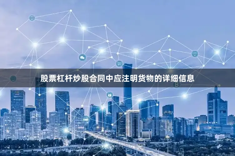 股票杠杆炒股合同中应注明货物的详细信息