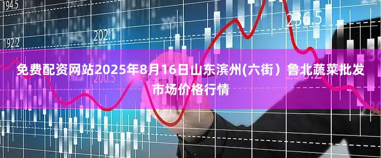 免费配资网站2025年8月16日山东滨州(六街）鲁北蔬菜批发市场价格行情